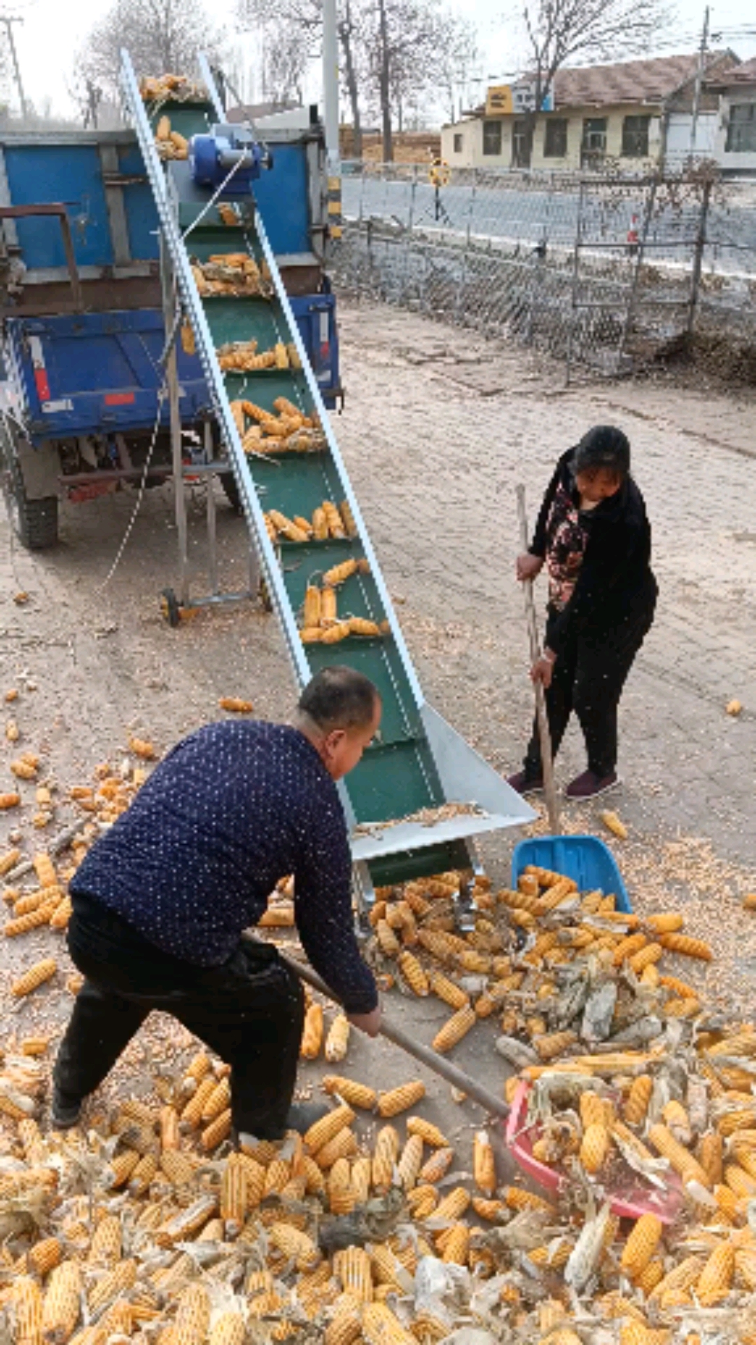 糧食輸送機,裝車神器#輸送機#糧食機械#三農