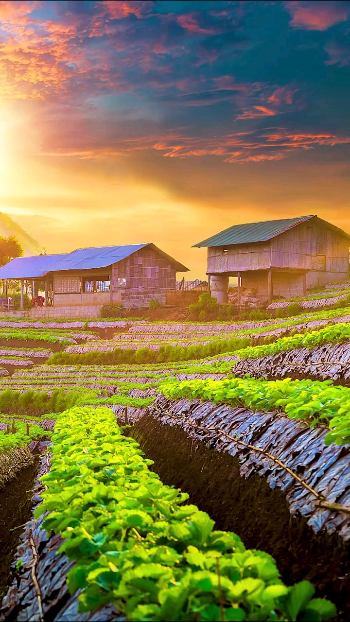 旅游进行时#风景太美丽了,对于生活在现实生活中的我们太不真实