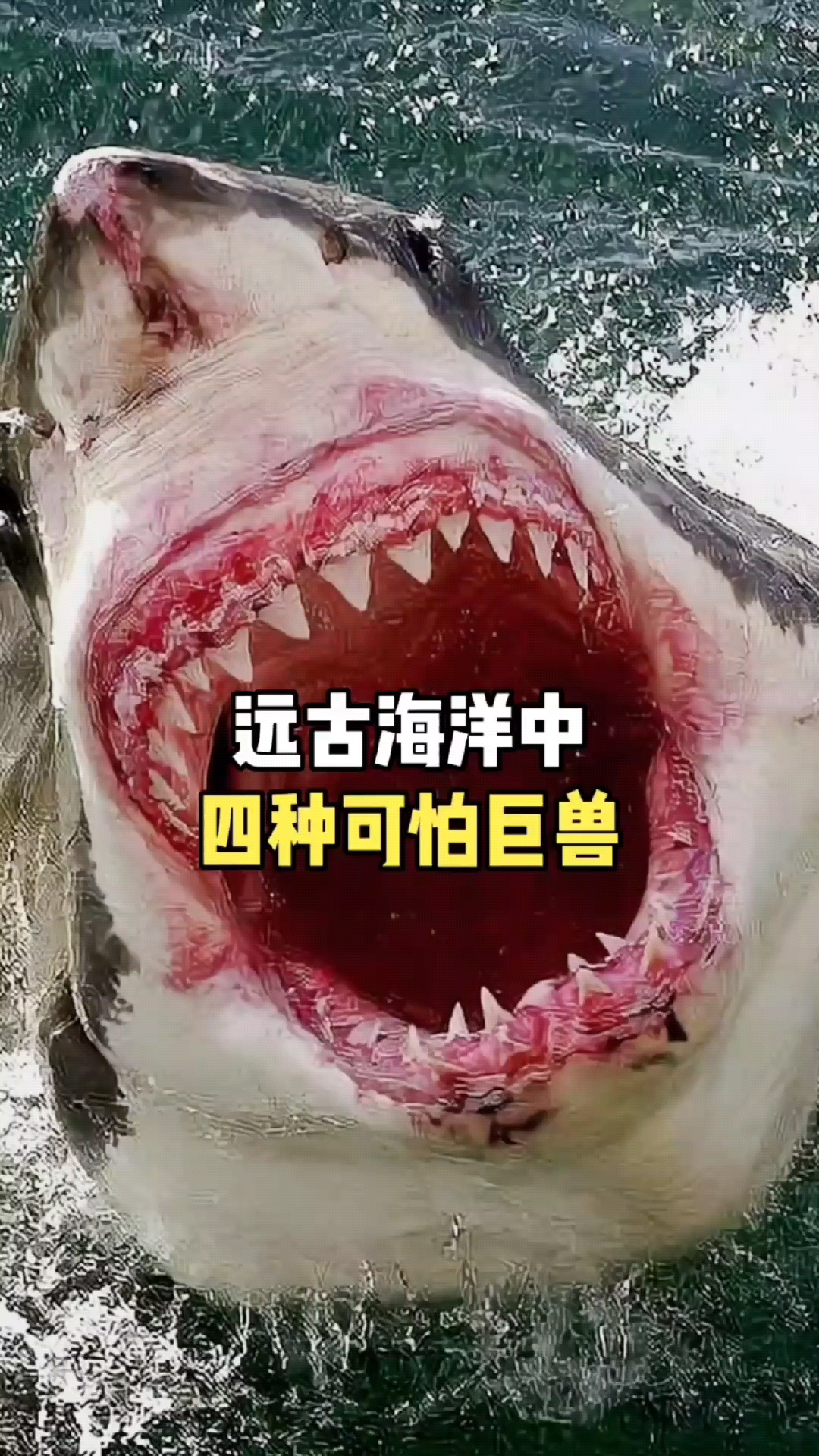 科普#远古海洋中四种可怕巨兽#深海巨兽#寻找1000位科普达人-度惺视