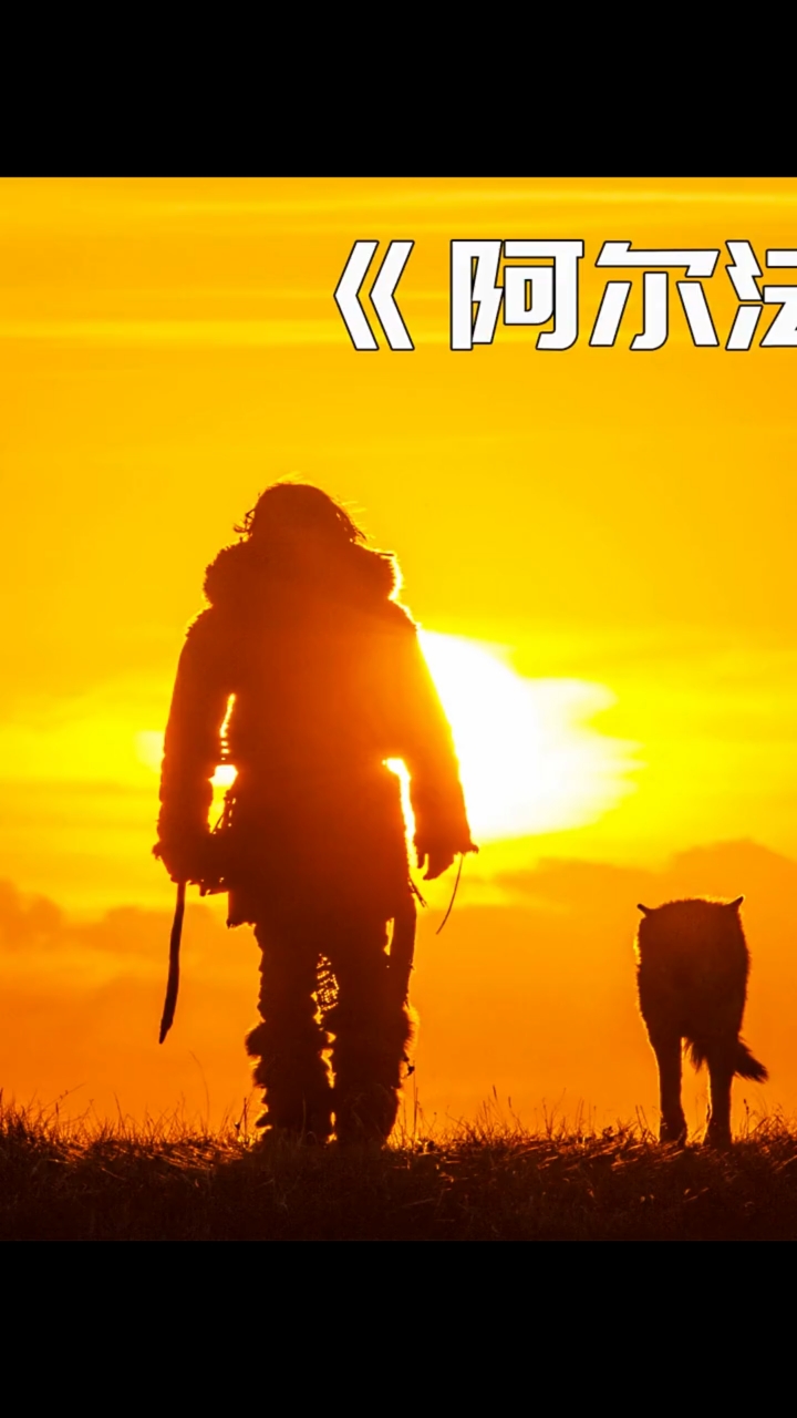 旅游进行时#第二段:一人一狼雪地求生,这样的狼我也想来一只.