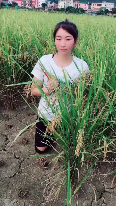 我这点30岁了,还没有结婚.没有男朋友.他们都嫌我是农村人