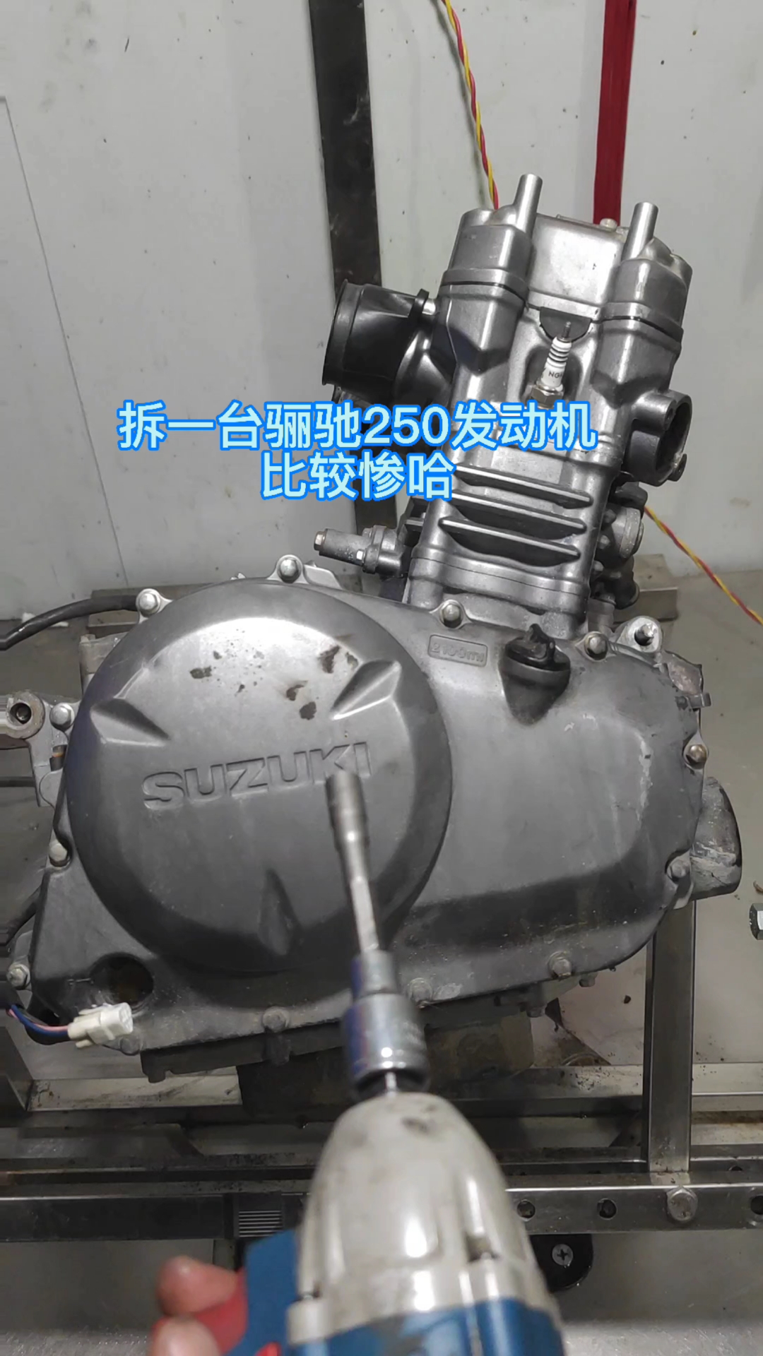 铃木骊驰gw250发动机拆解dl250和gsx250同款发动机