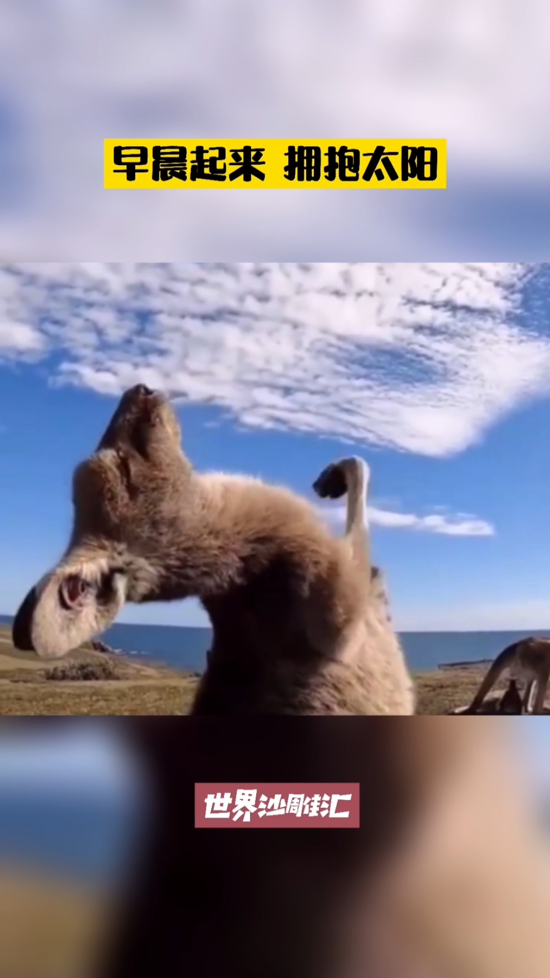 我要上热门#早晨起来拥抱太阳