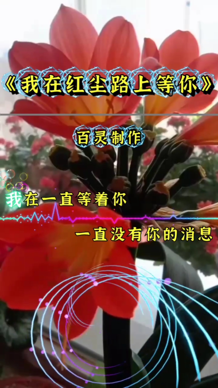 春日心愿旅行地#歌曲,我在红尘路上等你