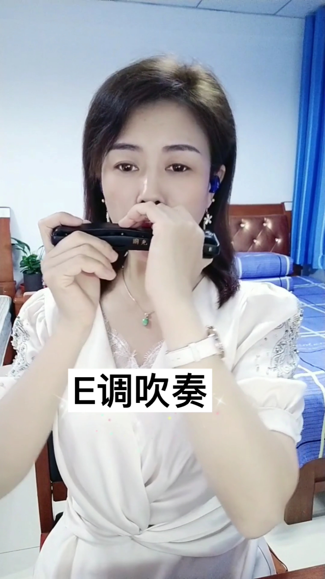经典音乐口琴吹奏北国之春