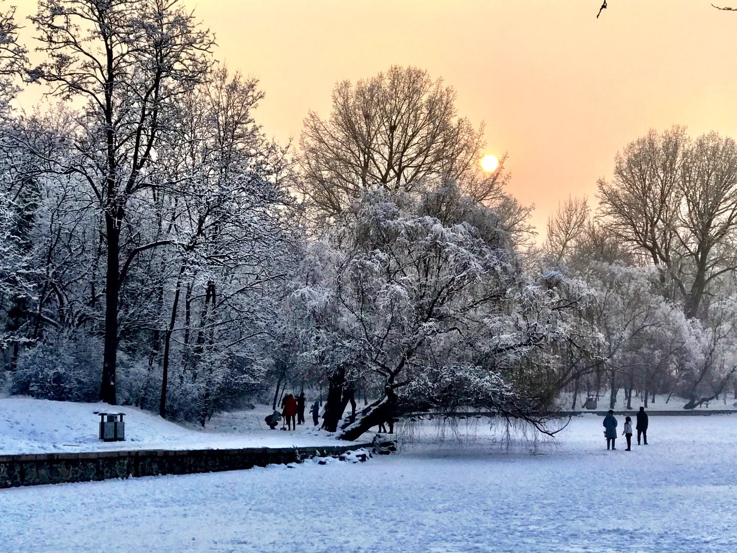 冬季公园美景描写图片