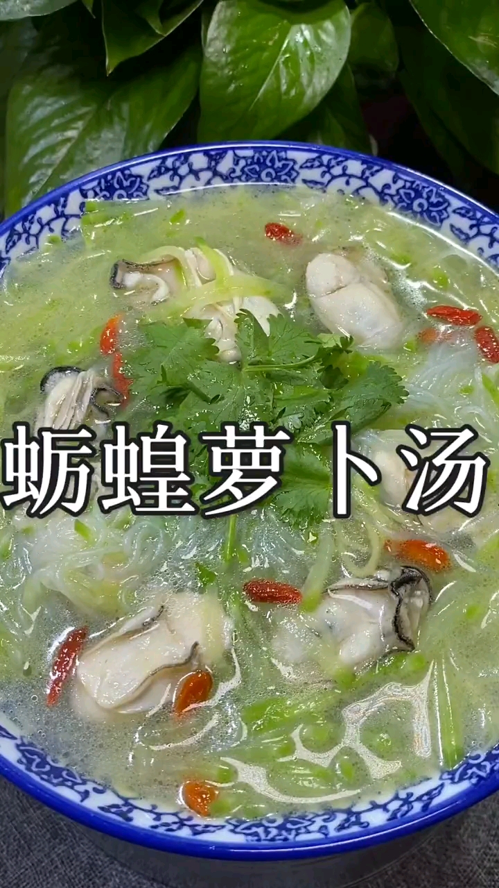 爱美食爱生活#特别好喝的蛎蝗萝卜汤-度小视
