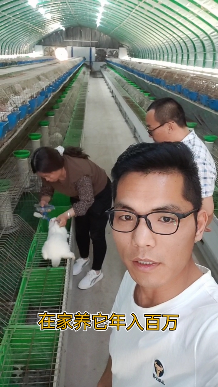 创业#合作养兔,免费培训技术,免费提供养殖笼具,免费搭建养殖大棚