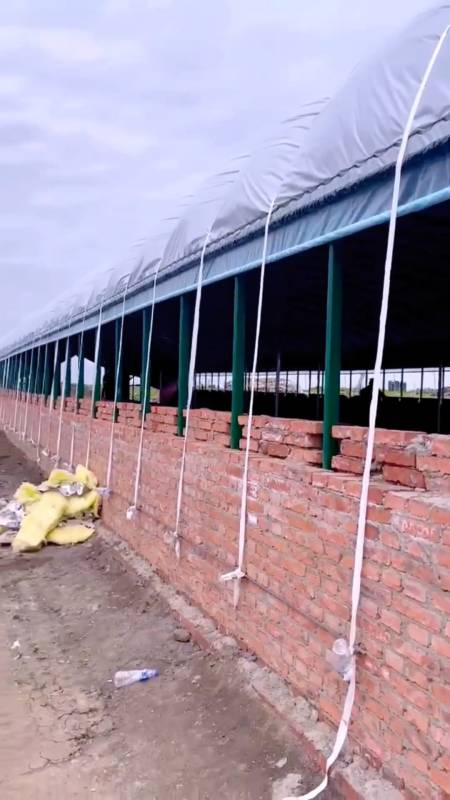 牛圈建设#山东菏泽地区3栋养牛大棚安装中,牛棚外部基础介绍.-度小视