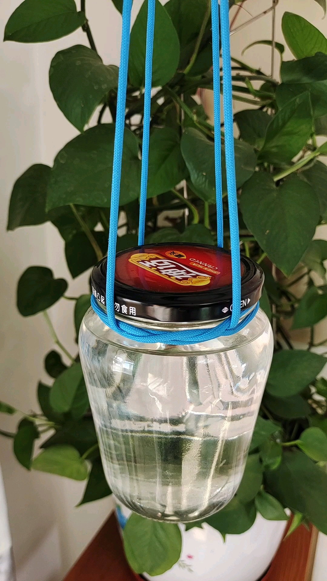 提瓶结,太实用了!