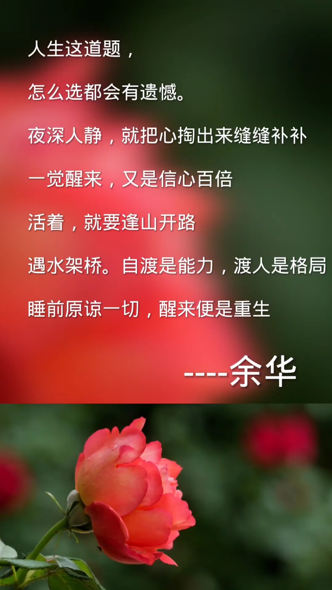 扎心情感语录#人生这道题怎么选都会有遗憾