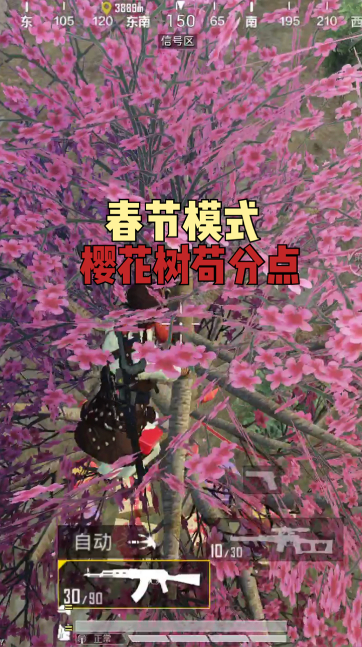 和平精英#和平精英新模式:年夜饭旁边的樱花树还能阴人吗?