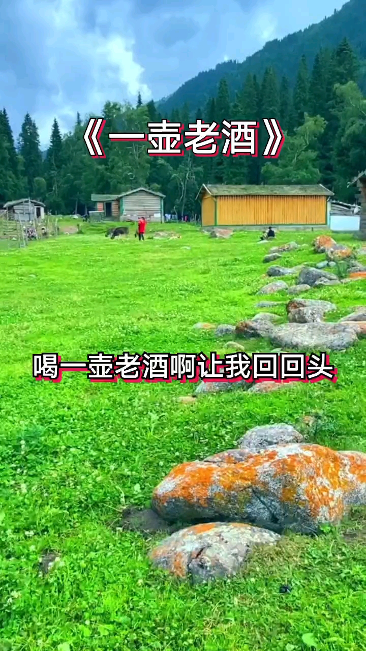 经典老歌#《一壶老酒》孝行天下