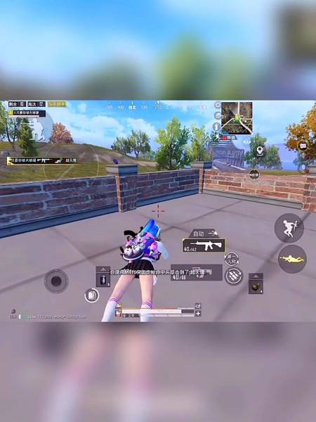 2021-04-08 向日葵和平精英思丹