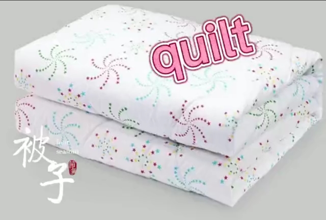 零基础学英语学英语背单词quilt