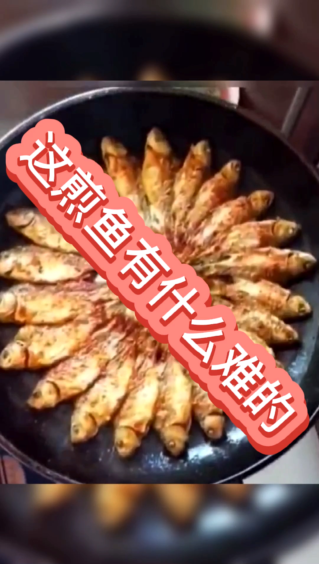 搞笑段子剧#这煎鱼有什么难的