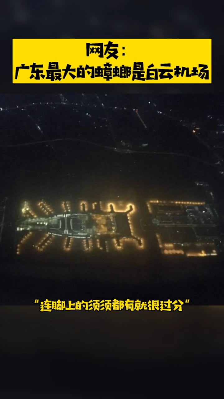 网友:广东最大的蟑螂是白云机场,一旦接受这个设定就.