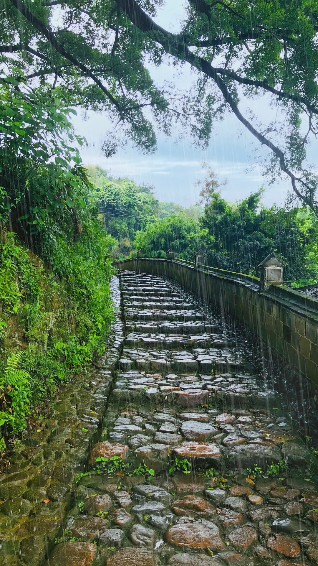 听雨细雨绵绵几时休犯我心中几多愁清风驶过惹心醉堵在雨里忆梦幽