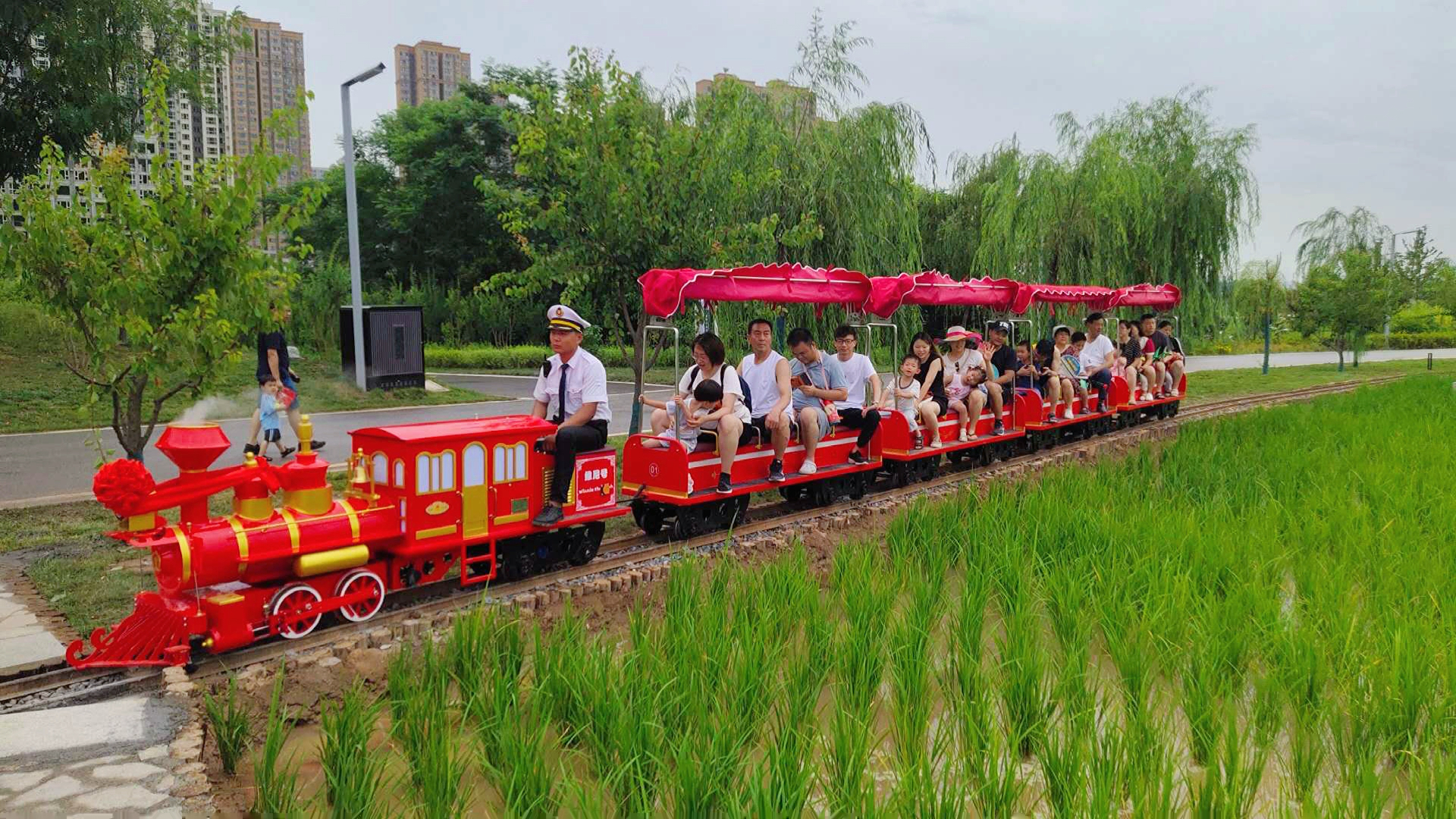 米埗村稻田小火车图片