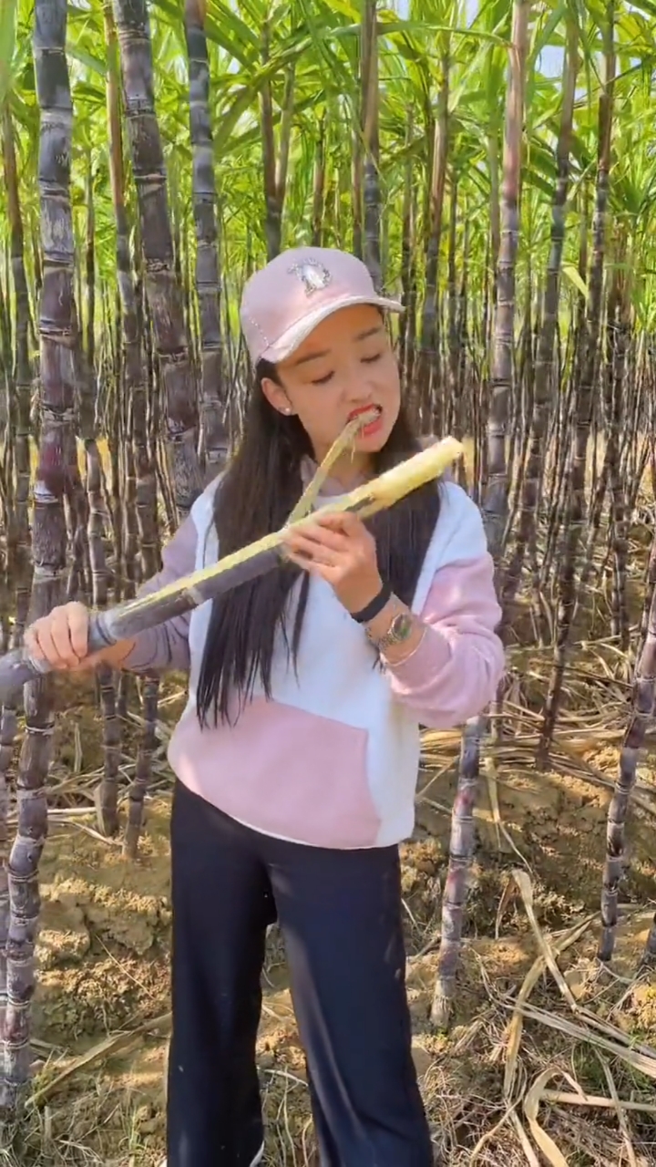 广西黑皮甘蔗口感脆甜优质农产品脆甜多汁的甘蔗吃甘蔗让人心情愉悦