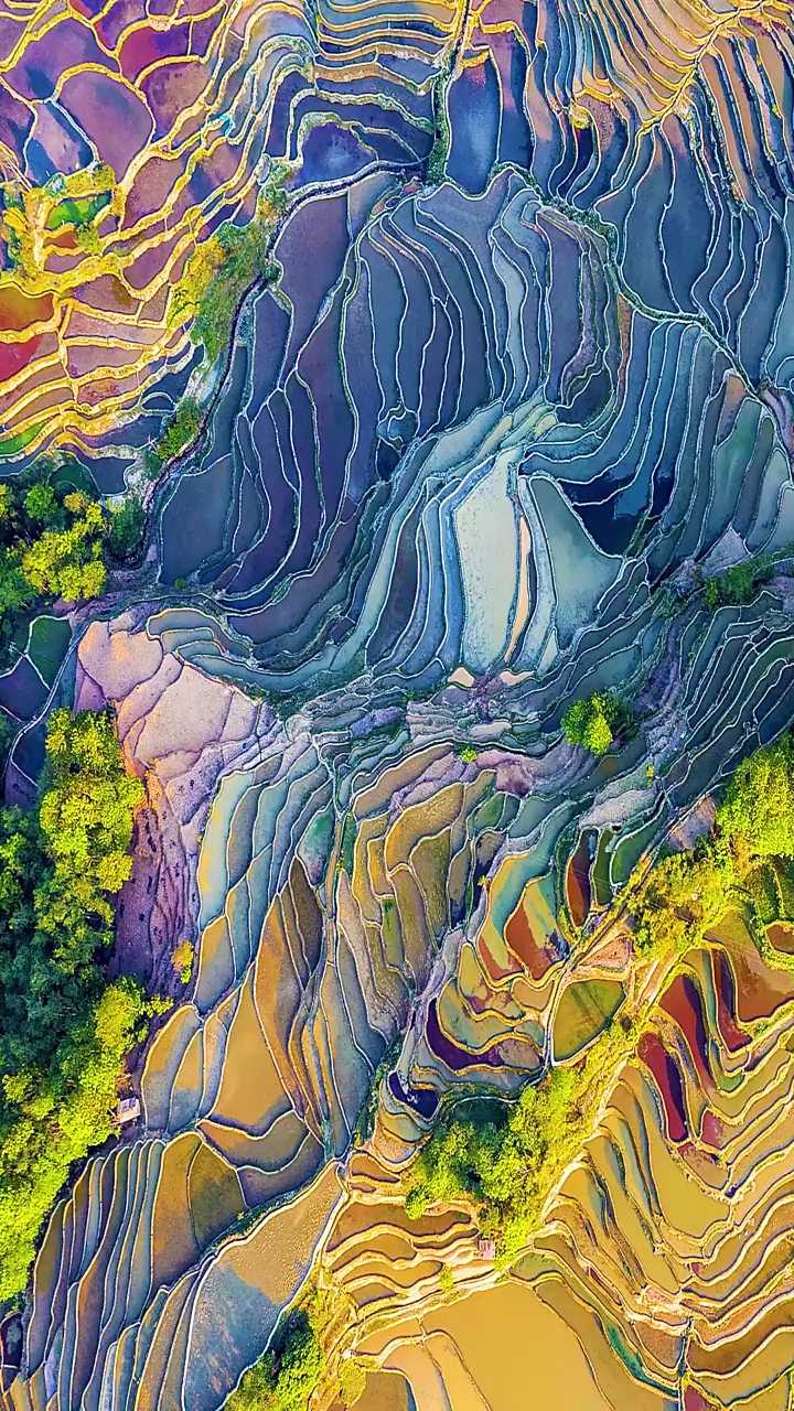 大自然一不小心打翻了调色盘,创造了这五彩斑斓的梯田,每个角度都有它