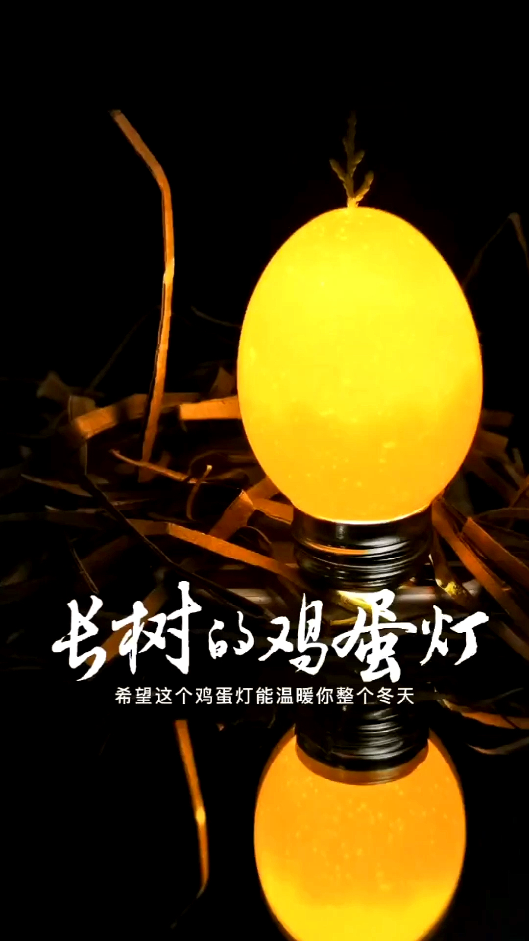 鸡蛋灯#神说:要有光!于是就有了光.