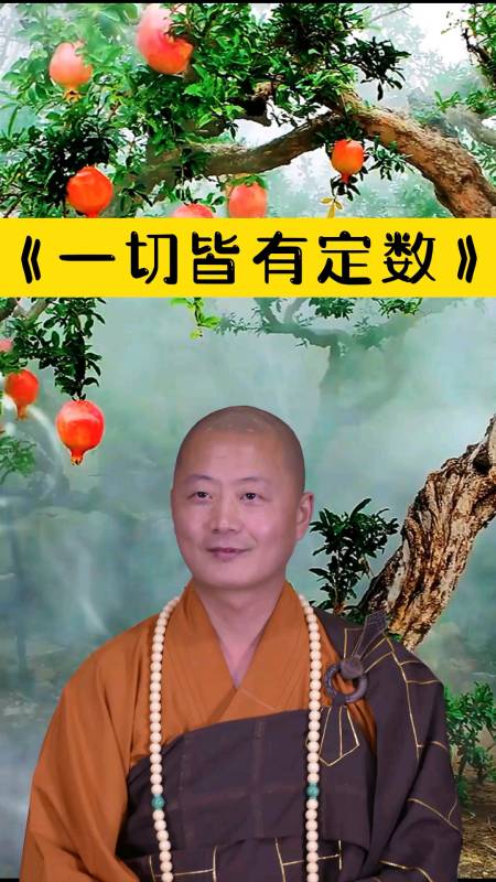 一切皆有定数,老天自有安排-度小视