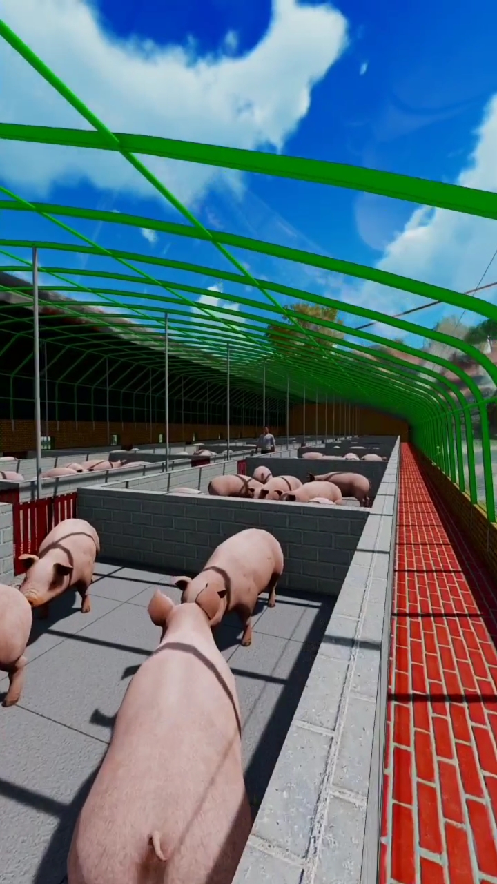 养猪大棚#适合在北方地区使用的阳光猪舍,15米宽60米长,可以养50屯 