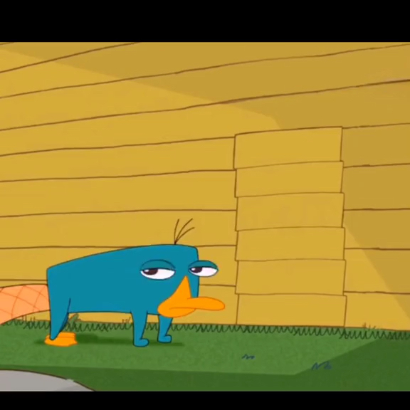 动漫飞哥与小佛鸭嘴兽泰瑞你们还记得吗