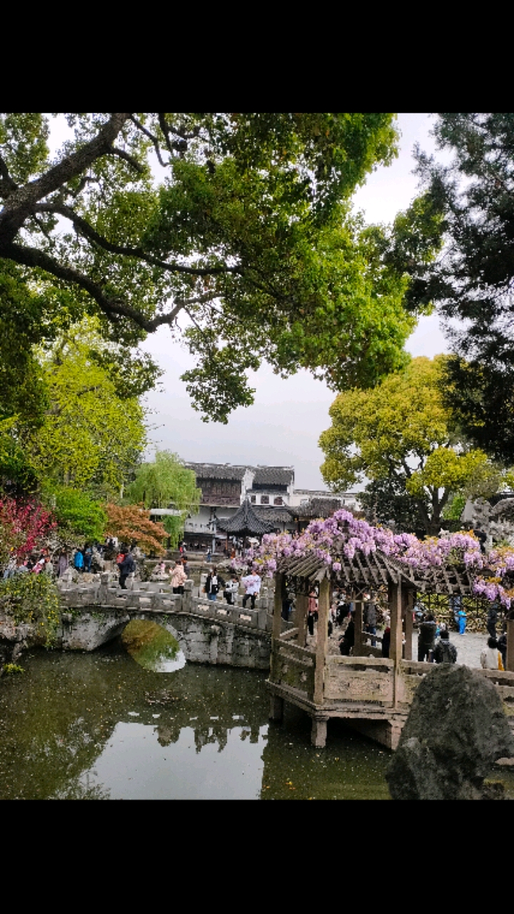 我和春天有个约会#苏州狮子林美景