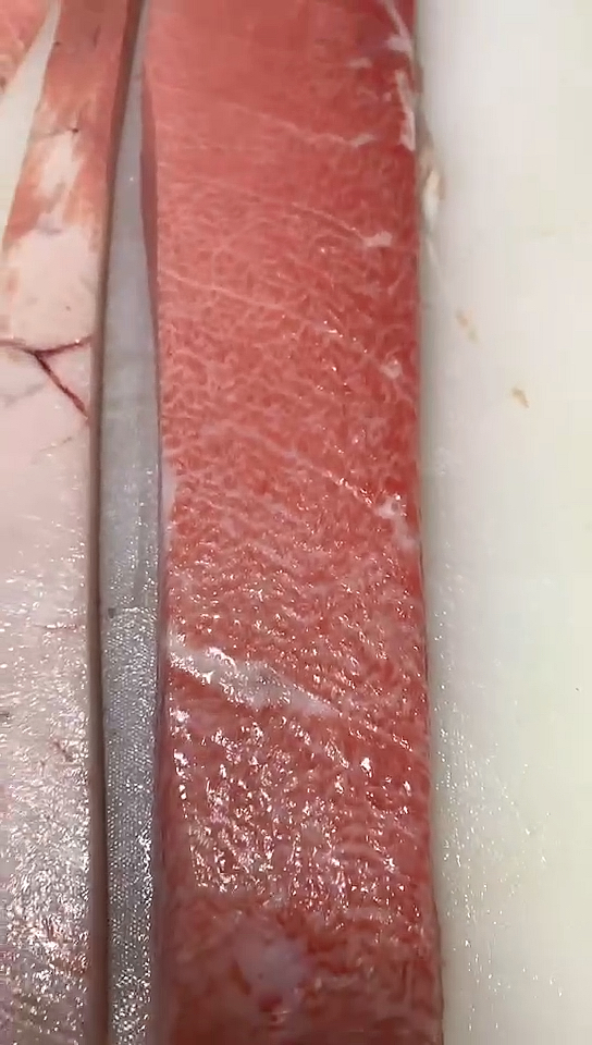 金枪鱼大腹#一百块一片的金枪鱼大腹,大家有喜欢吃的吗?