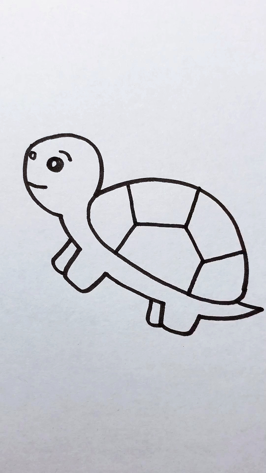 乌龟画法 简笔画图片