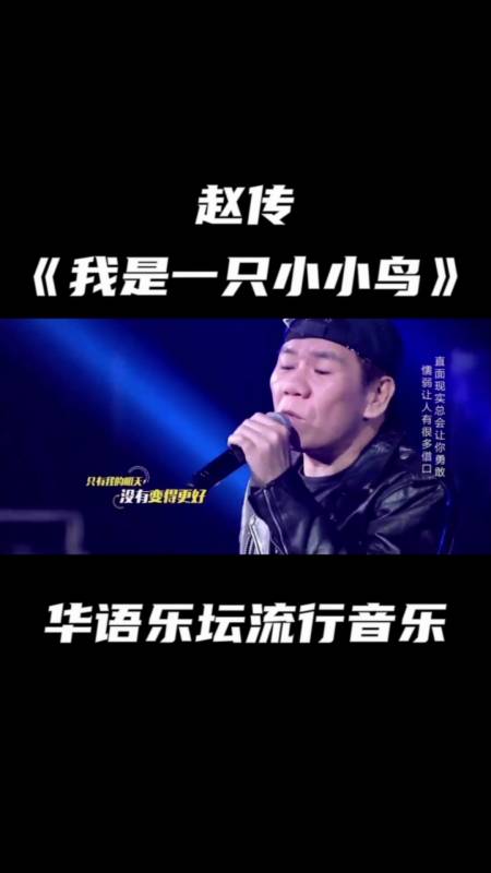 《我是一只小小鸟》是赵传演唱的一首歌曲,由李宗盛作词,作曲.