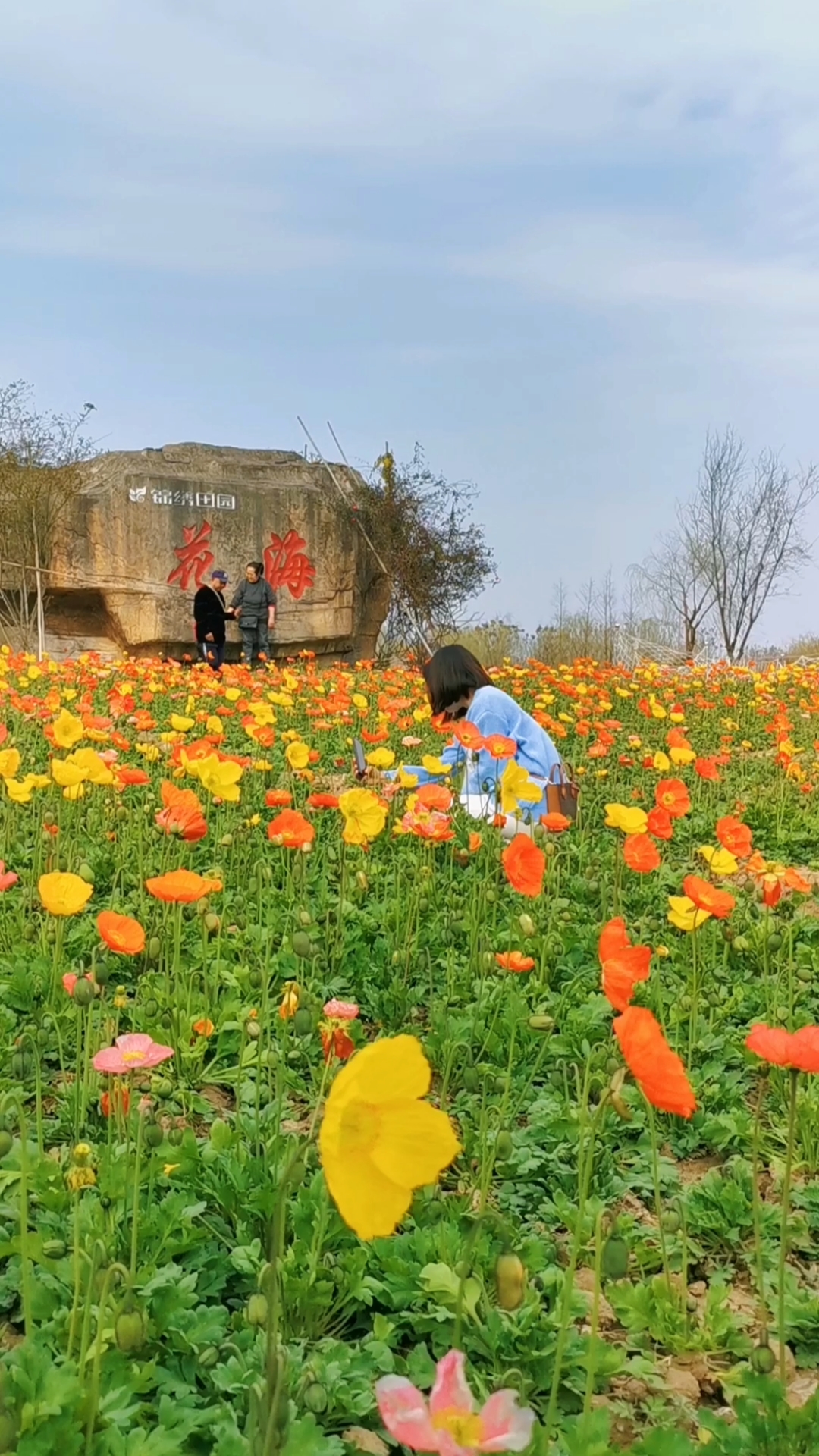 記錄生活#南充順慶錦繡田園鮮花盛開!