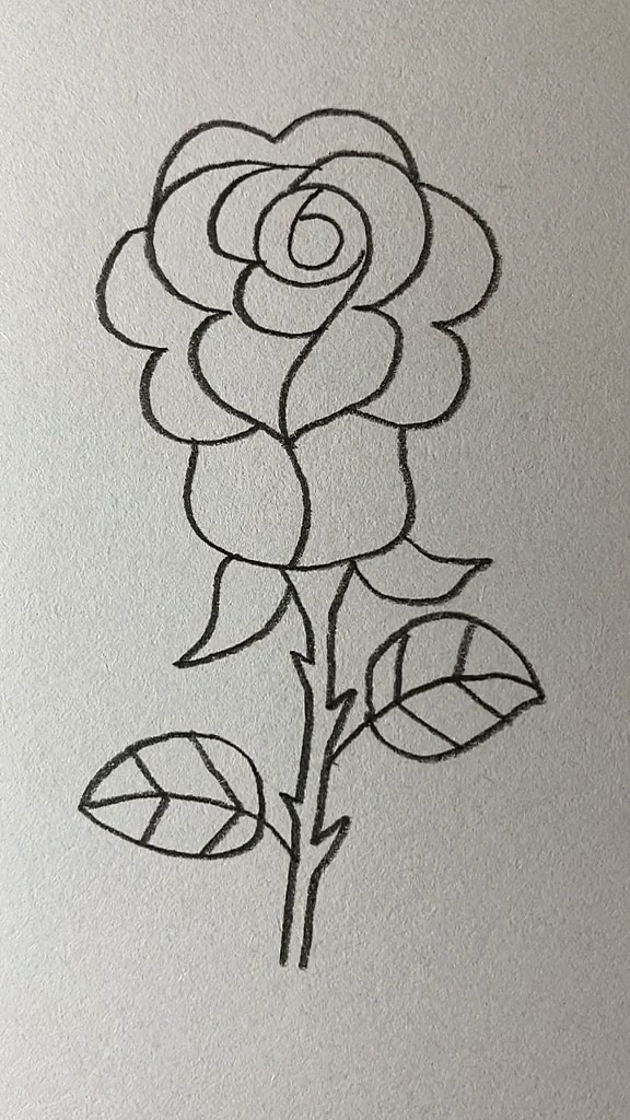 简笔画#用数字693画一朵玫瑰花