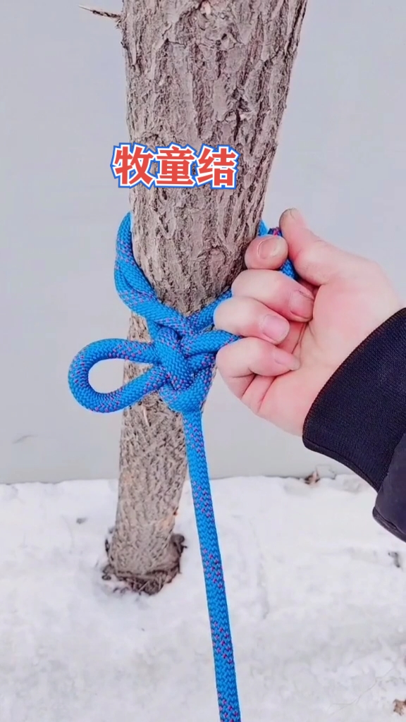实用绳结#牧童结,农村人放牛放羊常用的绳结技能.