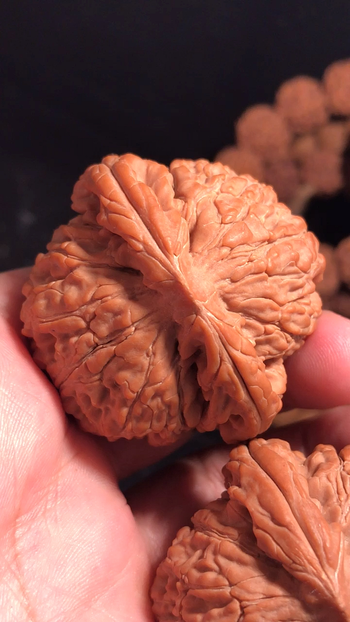 文玩核桃#47.5大水龙纹