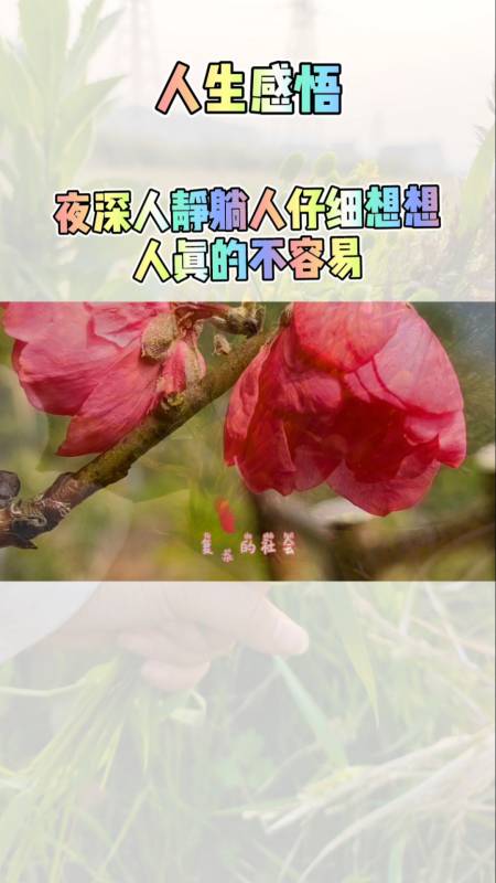 夜深人静才最适合思考人生人生并不容易看不透的人心