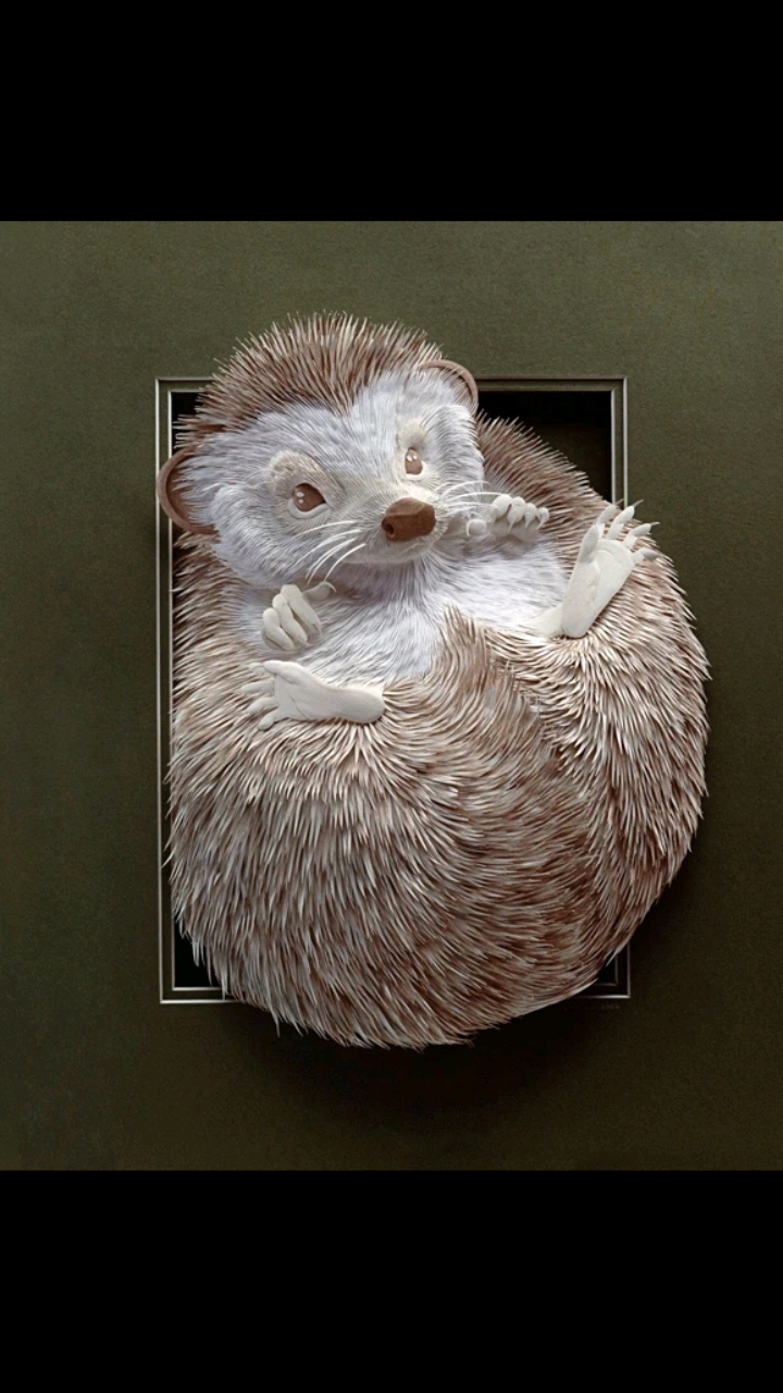 纸雕艺术家calvinnicholls作品赏析