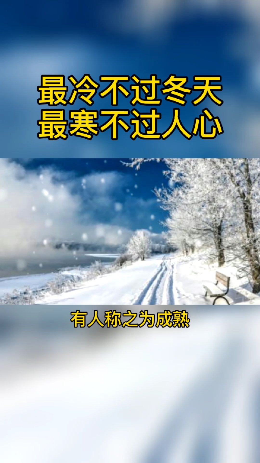 最冷不过冬天,最寒不过人心