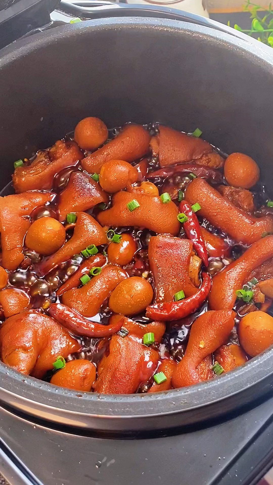 轻知计划卤猪蹄做法真的太香了