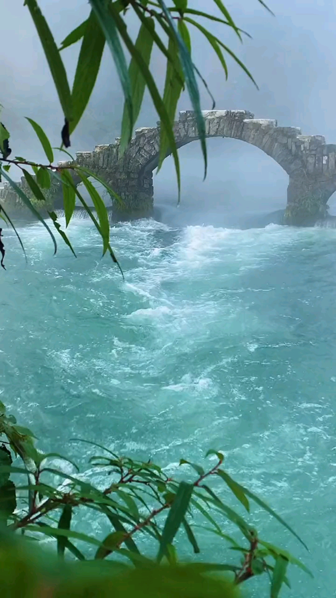 湘西:凤凰长潭岗