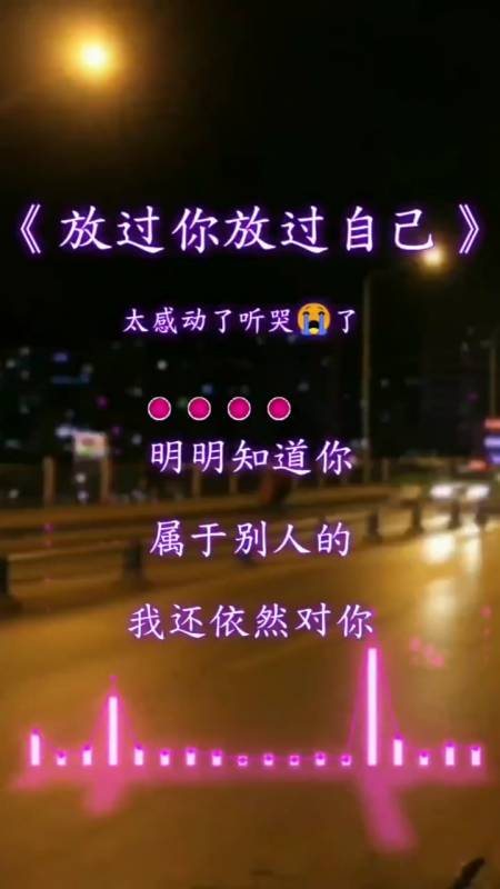你有没有真正的放过自己一次情感歌曲