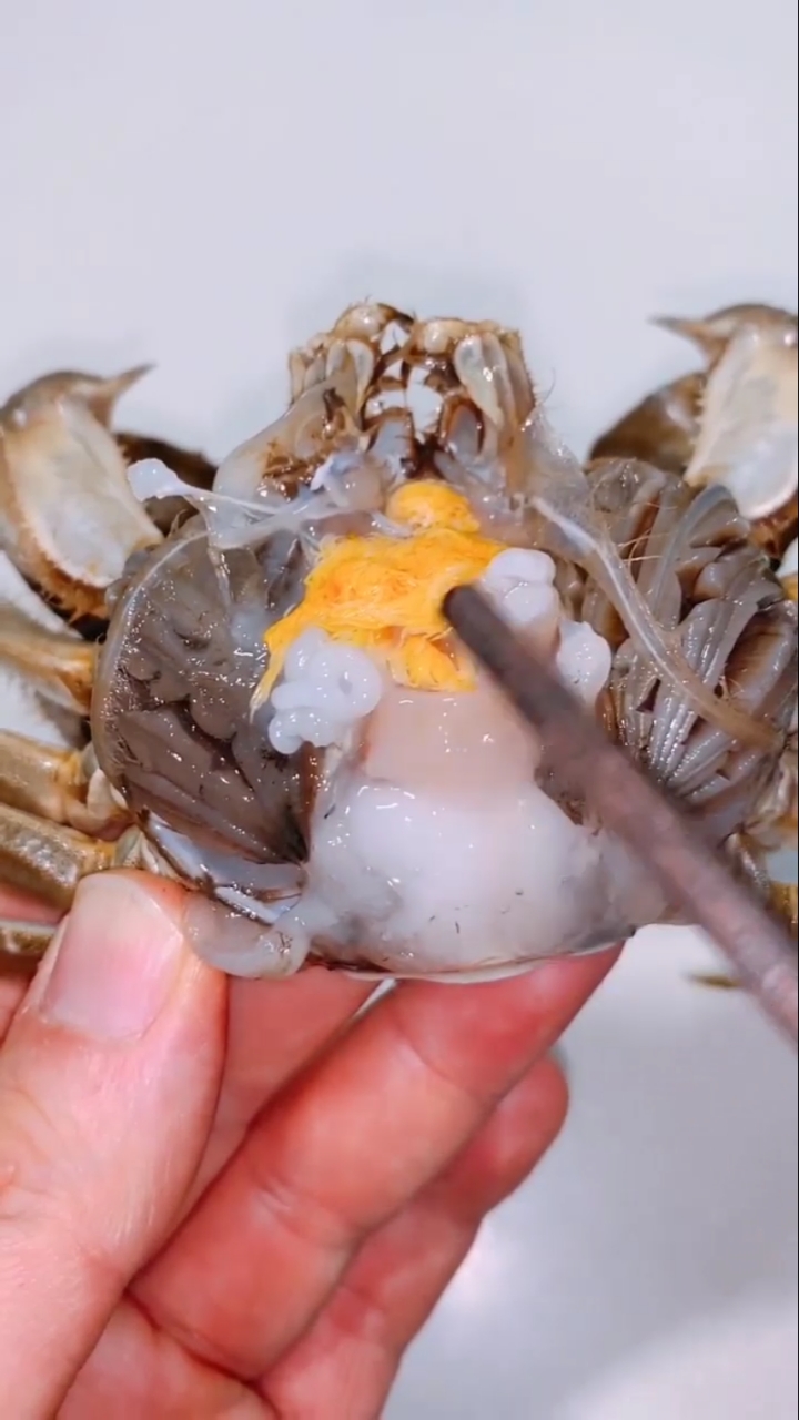 大闸蟹#一起来了解一下生螃蟹肚子里面究竟是什么样的-度小视