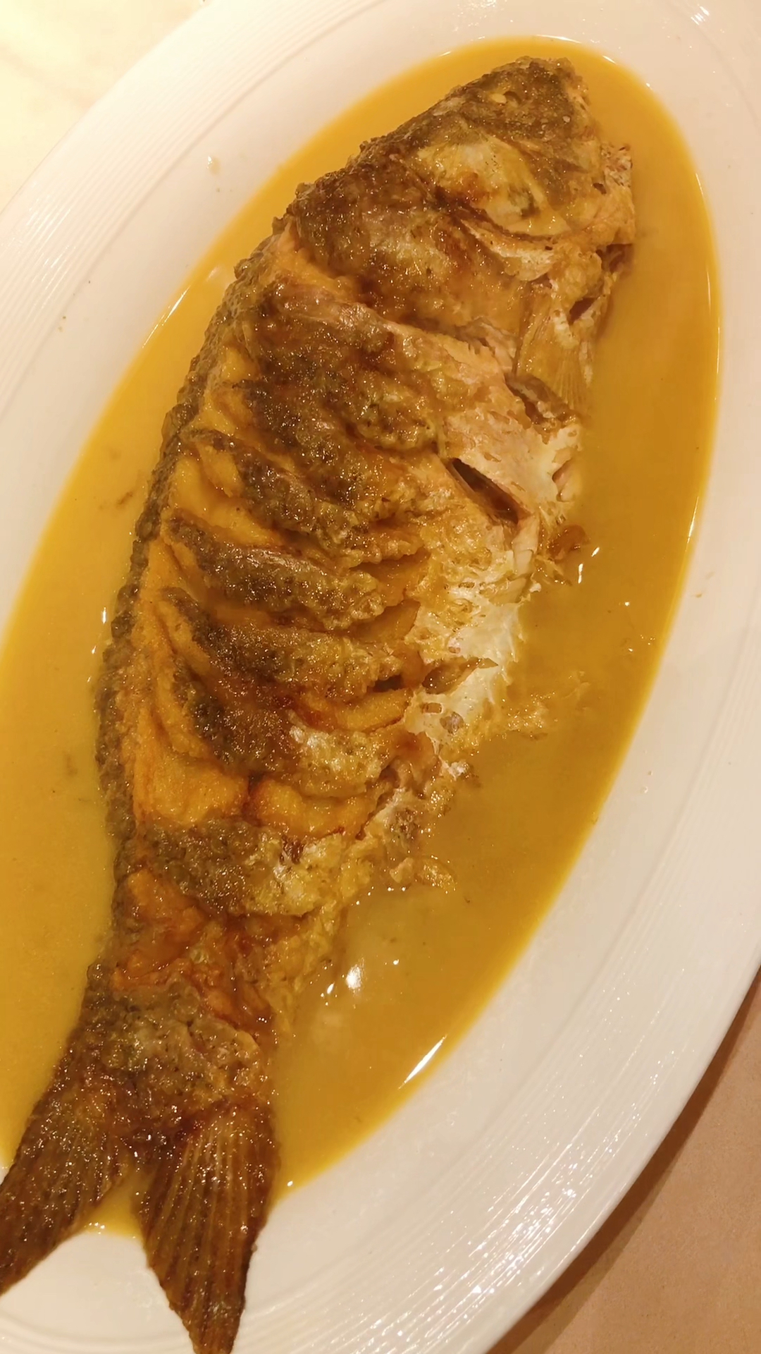 郑州美食#3斤重的红烧黄河大鲤鱼156,鱼肉吃着很香,但也比较腻,盐味