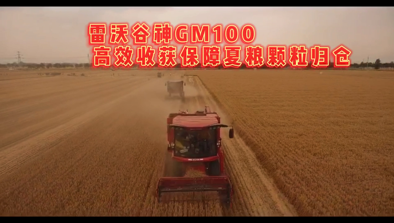 雷沃穀神gm100高效收穫保障夏糧顆粒歸倉!