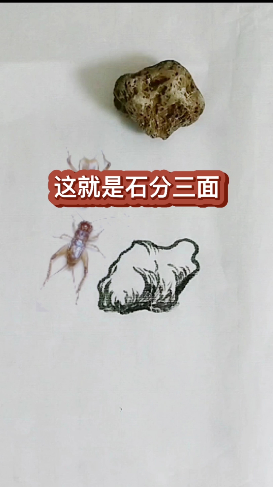 石分三面就是要画出石头的立体感的意思.