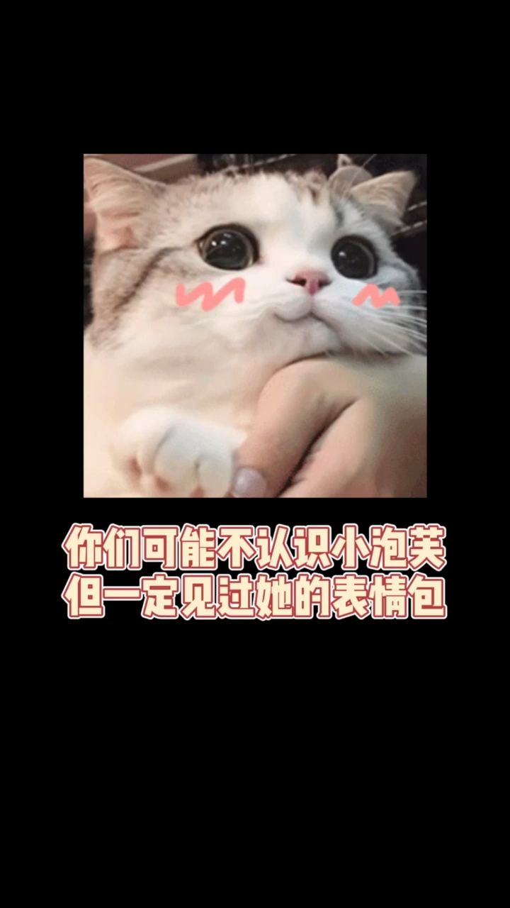 静态泡芙猫表情包图片