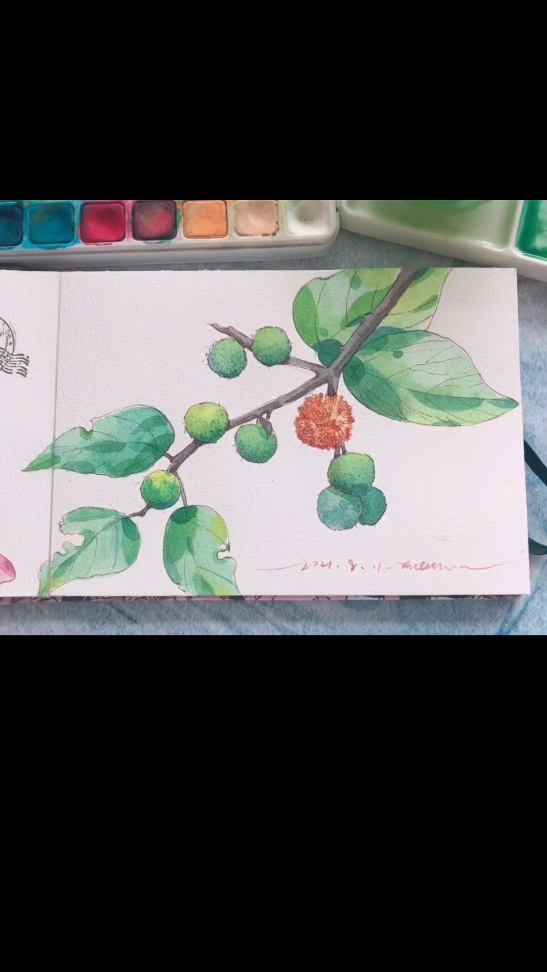 画画原来如此简单#钢笔淡彩|构树