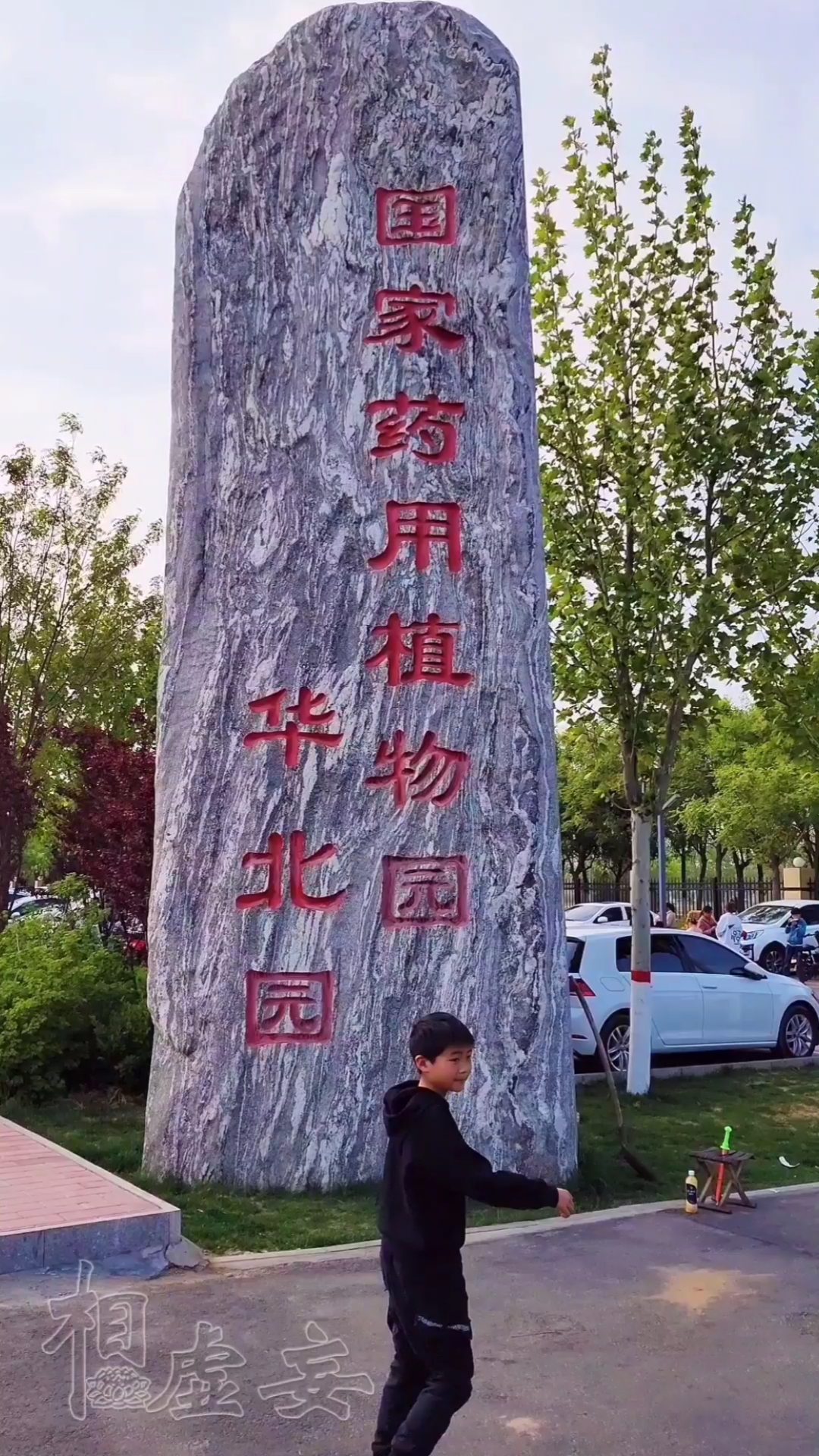 安国#安国※国家药用植物园